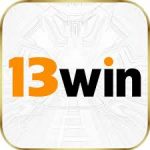 Icon for 13win.de
