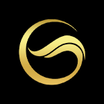 Icon for 79gsc11.com