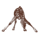 Icon for africa-emotions.com