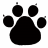 官方网站