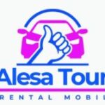 Icon for alesatour.com