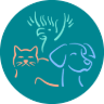 Icon for allisoncrescentvet.com.au