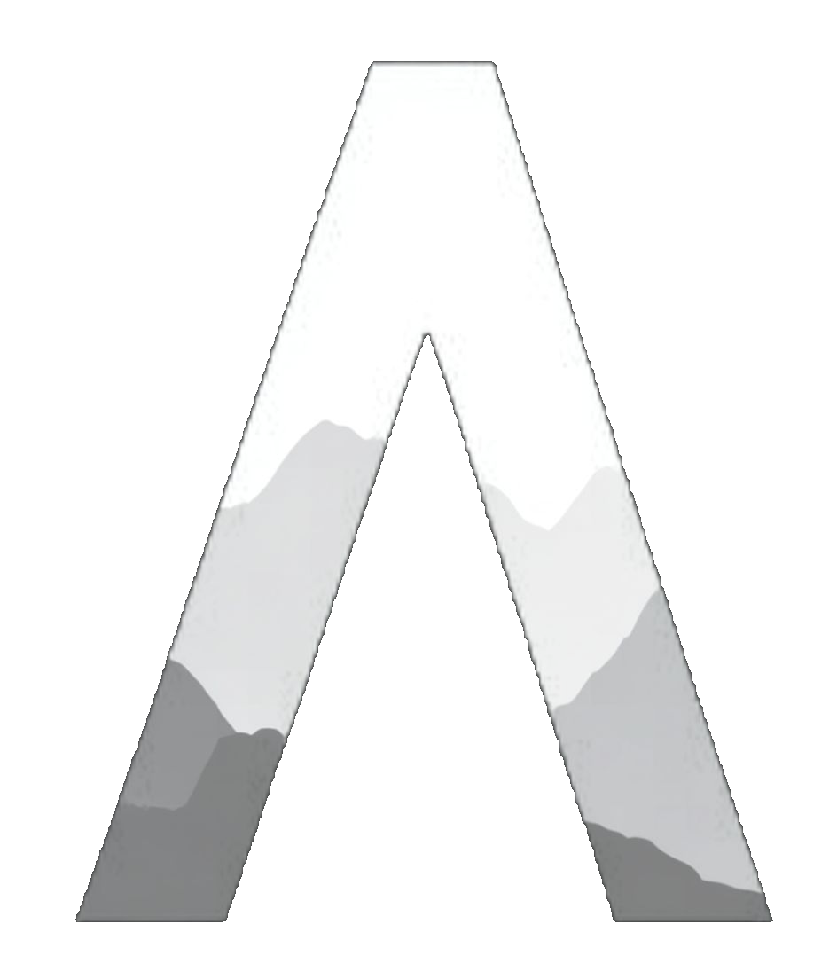 FluidVoice icon