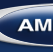 Icon for ambest.com