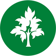 Icon for americanelmcapital.com