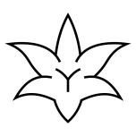 官方网站