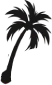 Icon for antiguawebsolutions.com