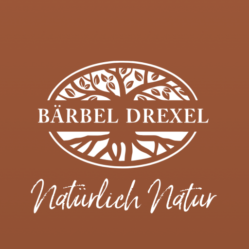 Icon for baerbel-drexel.de