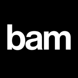 Icon for bambuser.com