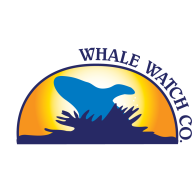 Icon for barharborwhales.com