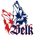 Icon for basketown.com