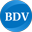 Icon for bdvsolutions.com