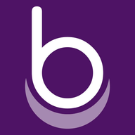 Icon for bescrib.com