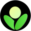 Betula Assistant