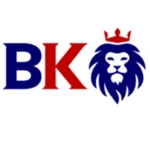 Icon for biddingkings.com