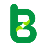 Bimg AI logo