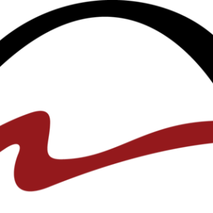 Birdsell Grant LLP logo