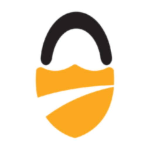 Borderless CS logo