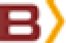 Brace logo