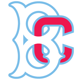 Icon for brooklyncyclones.com