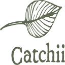Icon for catchii.com