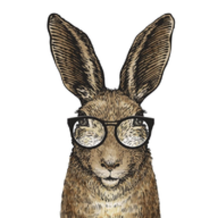 Icon for cleverrabbits.com