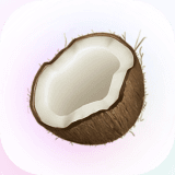 Icon for coconote.app