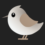 Icon for console.shorebird.dev