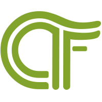 Icon for ctf.viblo.asia