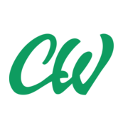 CustomWritings Essay
