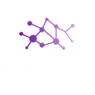 Icon for datasmart.inf.br