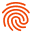 Icon for dev.fingerprint.com