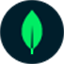 MongoDB Tools icon