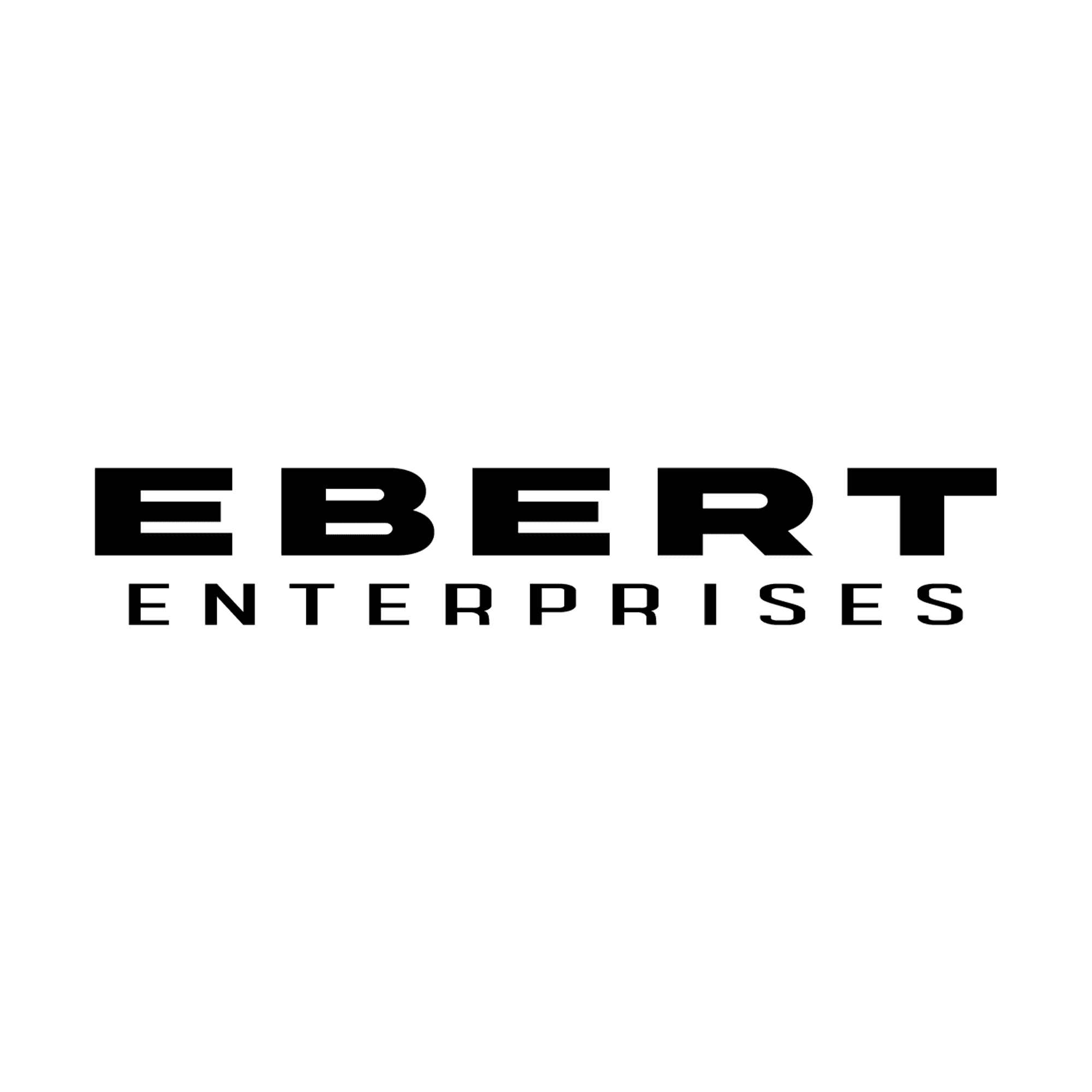 Icon for ebertfr.com