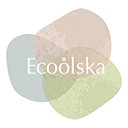 ecoolska.com/en Website Favicon