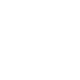 Ellipsis