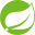 Icon for enterprise.spring.io