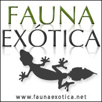 Icon for faunaexotica.net