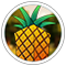 Icon for fruitservers.net