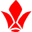 官方网站