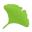 Gingko icon