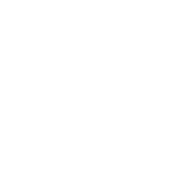 Goose AI logo