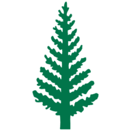 Icon for greenhillsschool.org