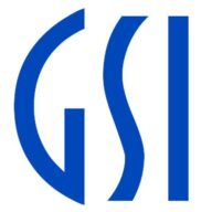GSI Technology