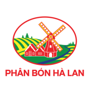 Domain