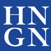 Icon for hngn.com