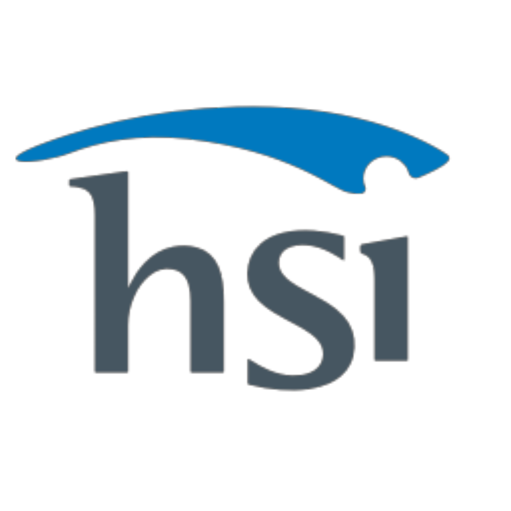 Icon for hsi.com