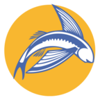 Icon for hurricanepreparedness2025.barbadostoday.bb