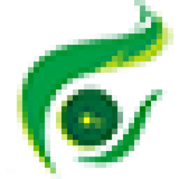 Domain