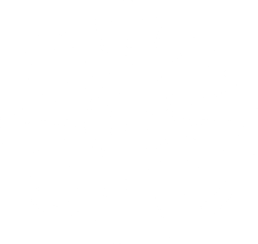 Icon for internetfreedom.in